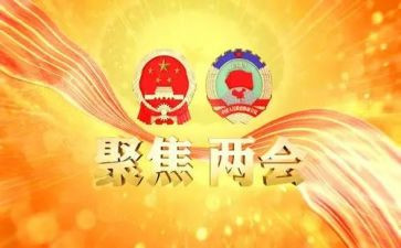 读两会心得体会5篇