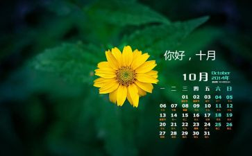 幼儿园10月份工作计划8篇