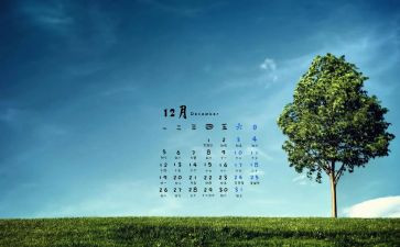 12月份月工作计划通用8篇