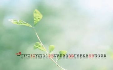 幼儿园12月工作总结8篇