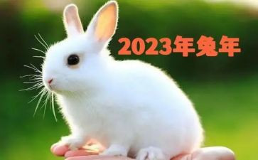 2023年上半年工作报告优质5篇
