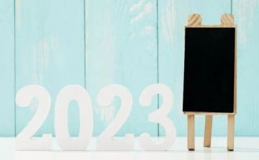 2023年小学安全第一课心得体会6篇