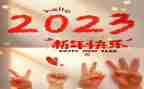 2023年小学学校工作总结通用8篇