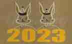 政府2023年述职报告8篇