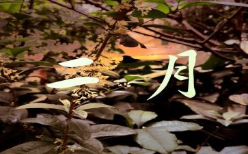 2月份工作计划5篇