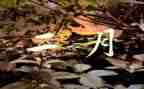 2月份工作计划5篇