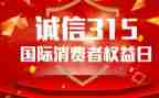 315调查报告精选5篇