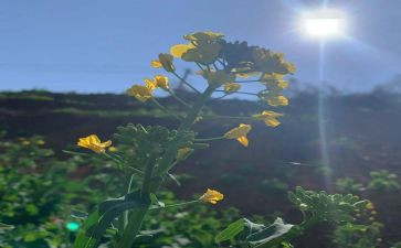 3月销售工作总结8篇