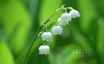 幼儿中班4月份工作总结6篇