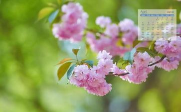 大大班4月份工作总结7篇