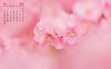 幼儿园4月份教学总结5篇