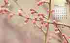 4月安全工作总结8篇