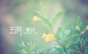 幼儿大班5月份工作总结8篇
