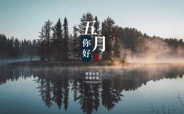 5月1日活动方案5篇