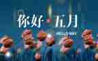 中班5月份工作总结6篇