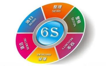 学6s的体会与心得通用5篇