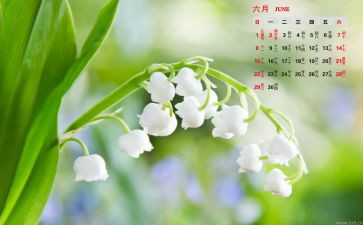 幼儿中班6月份工作计划8篇