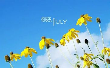 教师6月工作总结7篇