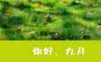 9月主题活动方案6篇