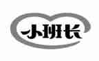 学生班长工作报告7篇