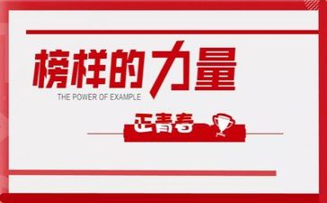 榜样5观心得体会参考7篇