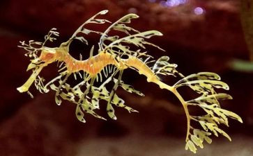 高中生物教师年终总结8篇