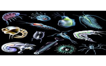 高二下学期生物教师工作计划5篇