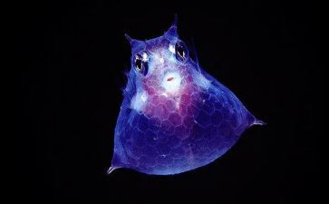 生物八上工作计划推荐5篇