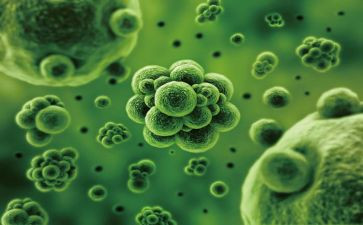 高中生物心得体会6篇