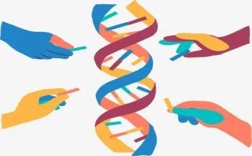 生物八上工作计划最新7篇
