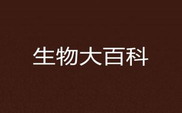 生物组教研工作总结最新7篇