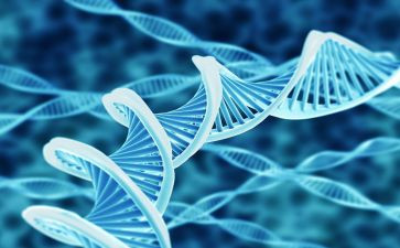八上生物调查报告8篇