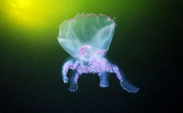 生物教师年度考核个人总结8篇