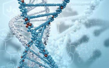 高中生物教学心得体会8篇