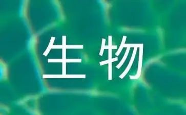 生物教师个人年度总结5篇