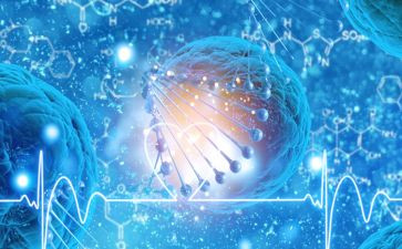 生物八上工作计划7篇