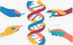 生物八上工作计划最新7篇