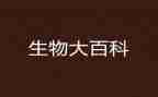 生物组教研工作总结最新7篇