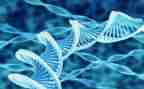 生物组教研工作总结5篇