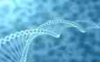 生物教学月工作计划精选5篇