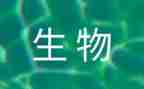生物教师个人年度总结5篇