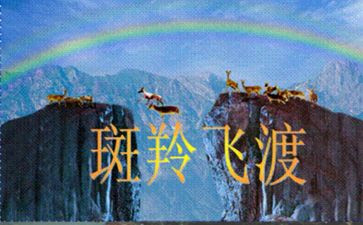 斑羚飞渡读后感范文7篇