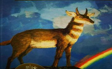 《斑羚飞渡》读后感500字7篇