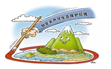 镇级保护野生动物工作总结范文6篇