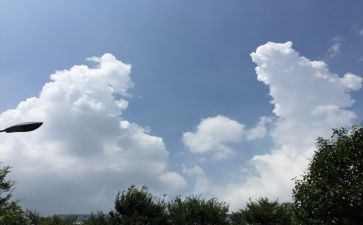 生活变化的调查报告5篇