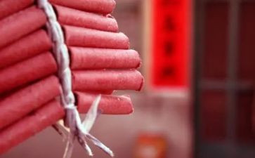 严禁放鞭炮的倡议书参考5篇