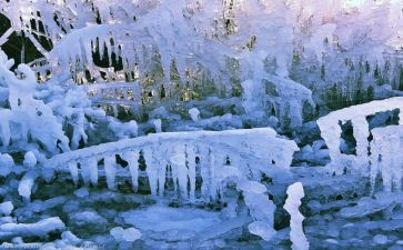 冰雪运动进校园的心得体会5篇