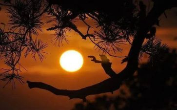 不一样的一样的我的作文优秀7篇