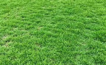 《草房子》艾地的读后感5篇