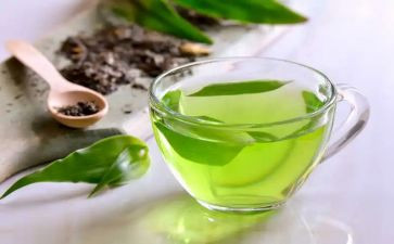茶艺队的心得体会参考5篇
